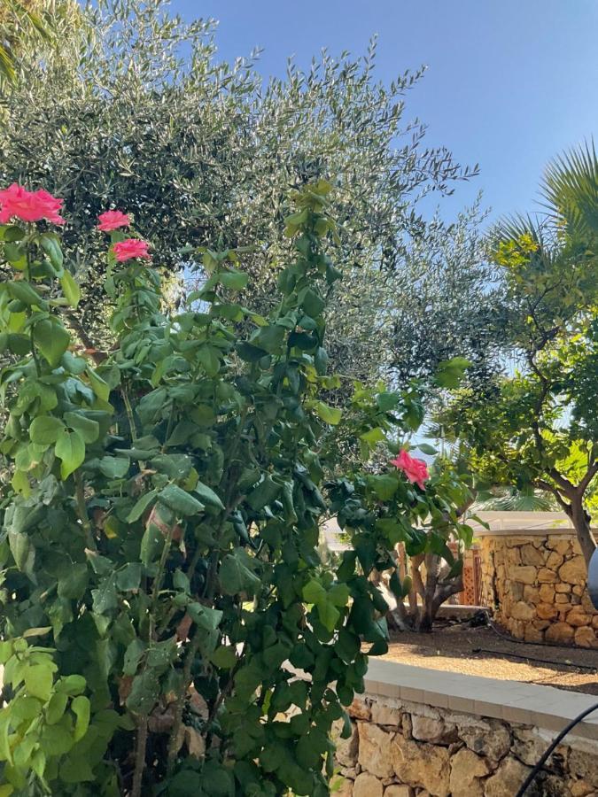 Al Balhara Resort & Spa Παλέρμο Εξωτερικό φωτογραφία